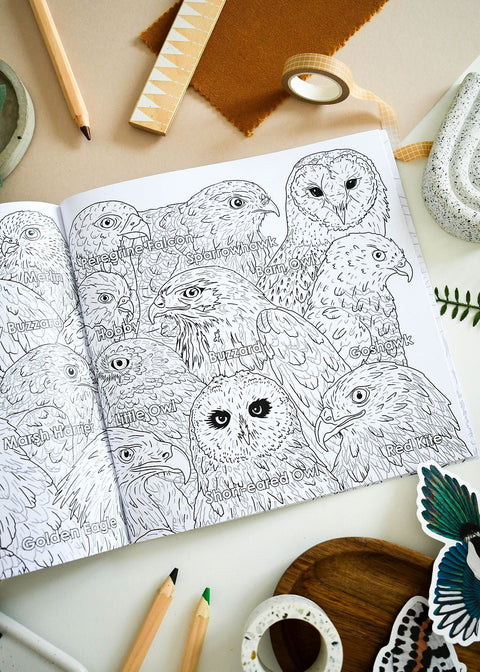 British Bird of Prey Educational Colouring Book - Sprouts of Bristol