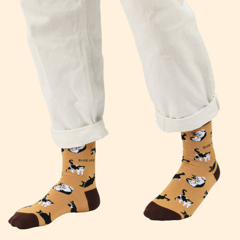 Brown Cats Bamboo Socks - Sprouts of Bristol