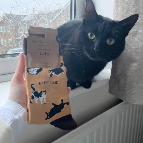 Brown Cats Bamboo Socks - Sprouts of Bristol