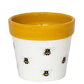 Bumble Bee Planter - Sprouts of Bristol