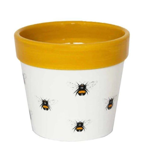 Bumble Bee Planter - Sprouts of Bristol