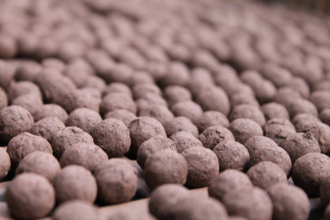 Butterfly Mix - Wildflower Grab Bag - Sprouts of Bristol