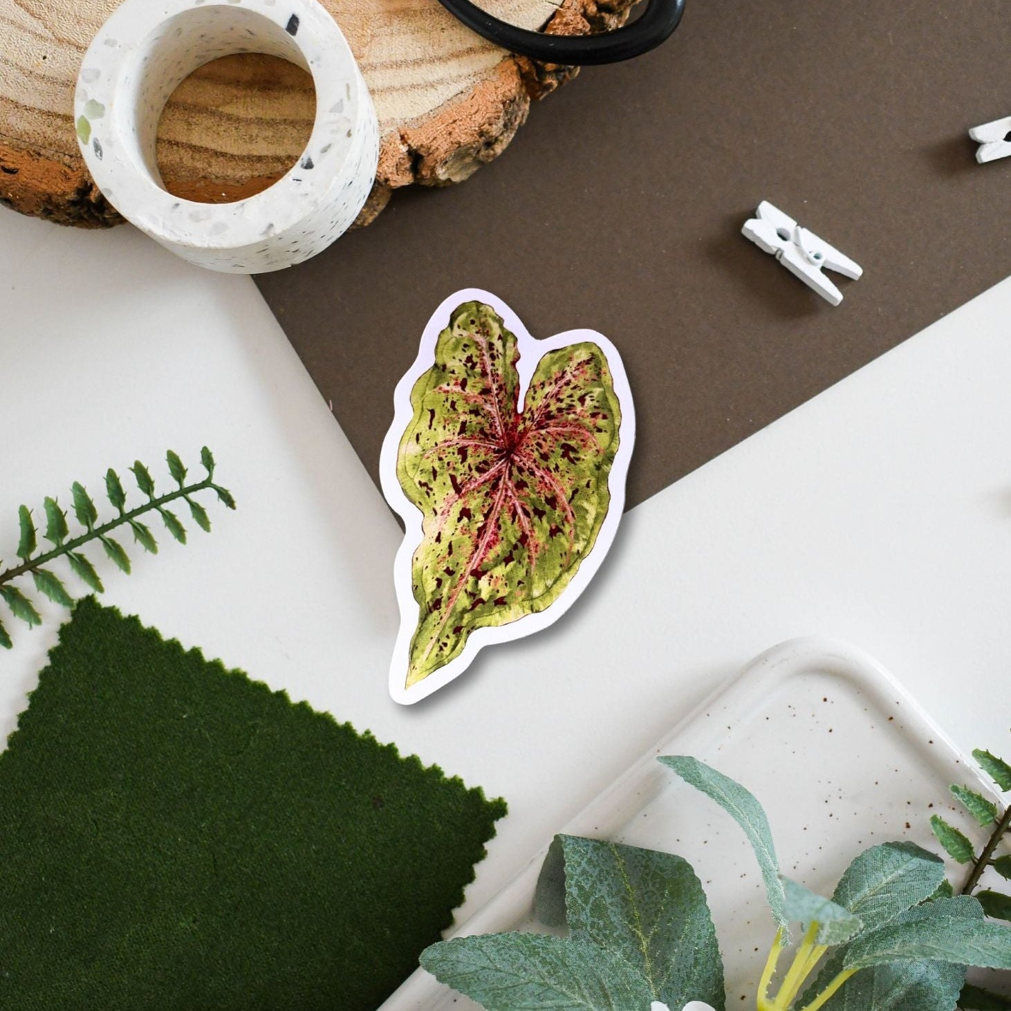 Caladium ‘Miss Muffet’ Tropical Houseplant Vinyl Sticker [Beneath the ...