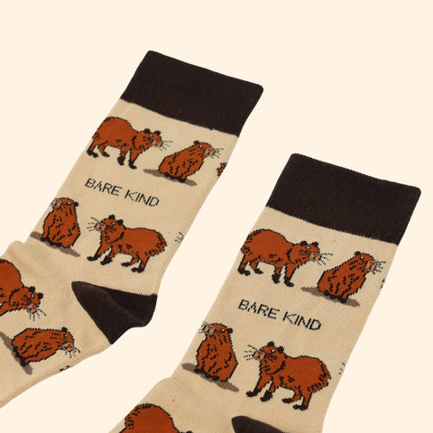 Capybara Bamboo Socks - Sprouts of Bristol