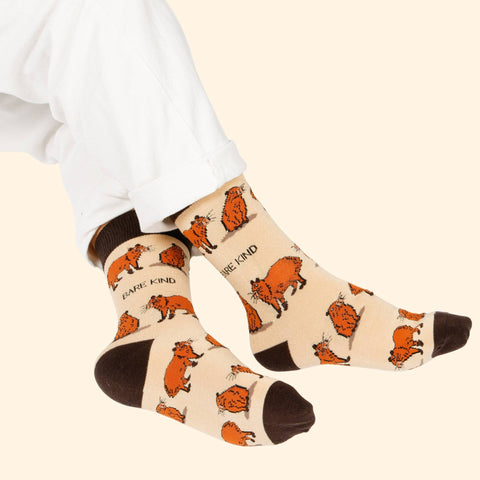 Capybara Bamboo Socks - Sprouts of Bristol