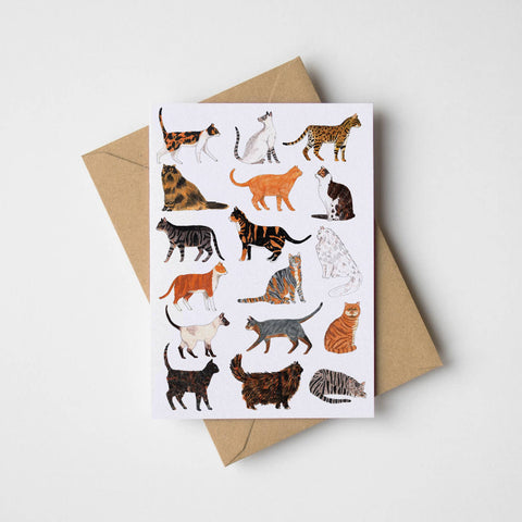 Cats Greetings Card - Sprouts of Bristol