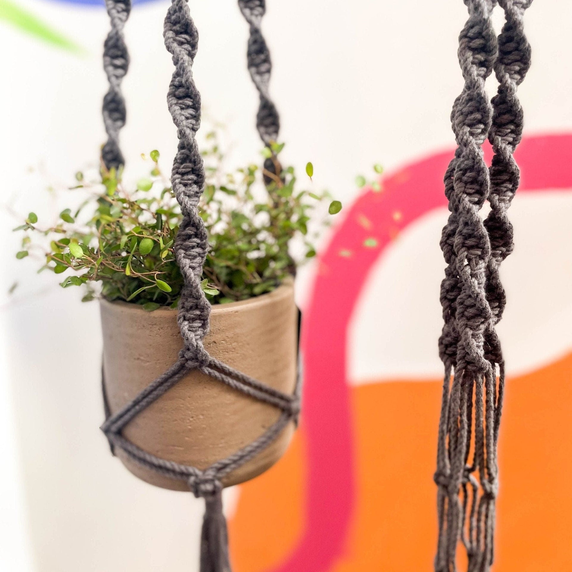 grey macrame plant hanger Charcoal Grey Macrame Plant Hanger – Sprouts of Bristol