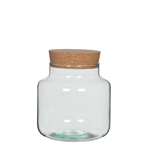 Chela Vessel [Terrarium Supplies] - Sprouts of Bristol