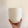 Chevron Glazed Ribbed Planter in White - Sprouts of Bristol