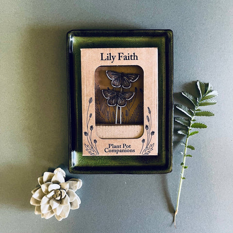 Common Blue Butterfly Plant Pot Companions  - Sprouts of Bristol