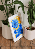 Cornflower Botanical Risograph Print - Sprouts of Bristol