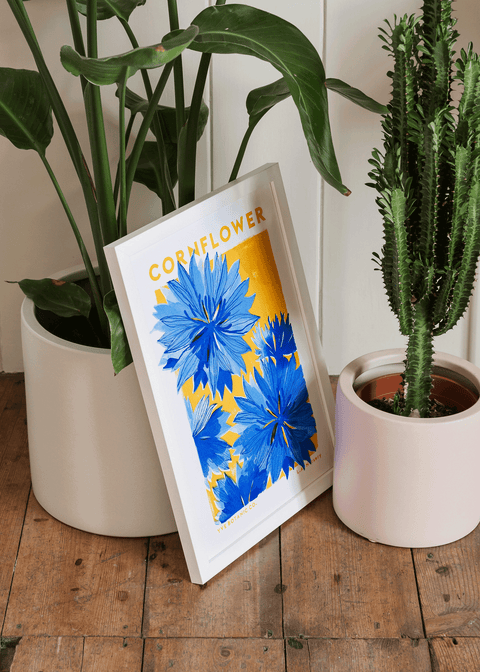 Cornflower Botanical Risograph Print - Sprouts of Bristol