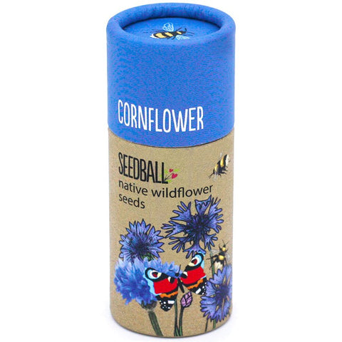 Cornflower Wildflower Seedball Tubes - Sprouts of Bristol