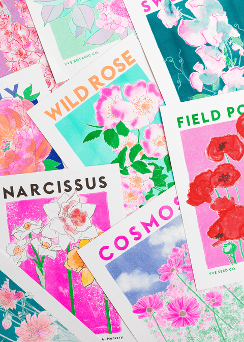 Cosmos Botanical Risograph Print - Sprouts of Bristol
