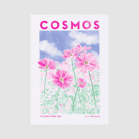 Cosmos Botanical Risograph Print - Sprouts of Bristol