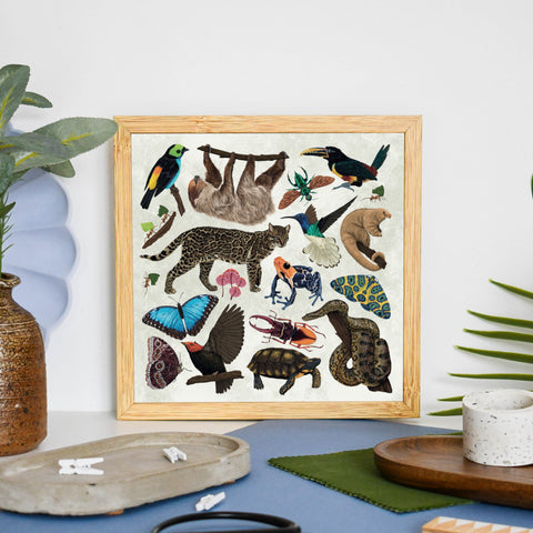 Framed artwork with illustrations of Amazon wildlife and animals on a table with plants and decor items.