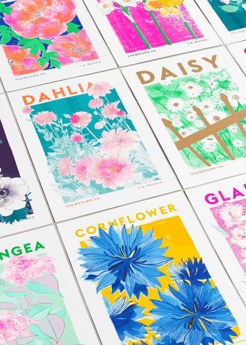 Dahlia Flower Risograph Print - Sprouts of Bristol