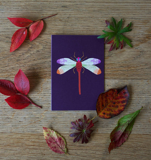 Dragonfly Mini Card - Sprouts of Bristol