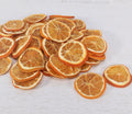 Dried Orange Slices - Christmas Craft Wreath Florist Festive Decoration - Sprouts of Bristol