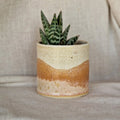 Dunes - Natural Orange, Brown & Cream Handmade Ceramic Plant Pot - Sprouts of Bristol