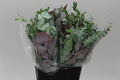 Eucalyptus Bunch - Mixed Varieties - Christmas Craft Wreath Florist Festive Decoration - Fresh Foliage - Sprouts of Bristol