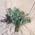 Eucalyptus Bunch – Mixed Varieties – Fresh Foliage for Christmas Wreaths, Floristry & Festive Crafting - Sprouts of Bristol