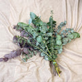 Eucalyptus Bunch – Mixed Varieties – Fresh Foliage for Christmas Wreaths, Floristry & Festive Crafting - Sprouts of Bristol
