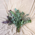 Eucalyptus Bunch – Mixed Varieties – Fresh Foliage for Christmas Wreaths, Floristry & Festive Crafting - Sprouts of Bristol