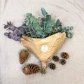 Eucalyptus Bunch – Mixed Varieties – Fresh Foliage for Christmas Wreaths, Floristry & Festive Crafting - Sprouts of Bristol