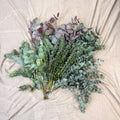 Eucalyptus Bunch – Mixed Varieties – Fresh Foliage for Christmas Wreaths, Floristry & Festive Crafting - Sprouts of Bristol