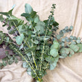 Eucalyptus Bunch – Mixed Varieties – Fresh Foliage for Christmas Wreaths, Floristry & Festive Crafting - Sprouts of Bristol