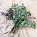 Eucalyptus Bunch – Mixed Varieties – Fresh Foliage for Christmas Wreaths, Floristry & Festive Crafting - Sprouts of Bristol