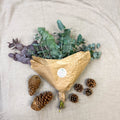Eucalyptus Bunch – Mixed Varieties – Fresh Foliage for Christmas Wreaths, Floristry & Festive Crafting - Sprouts of Bristol