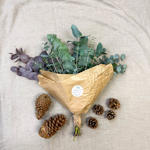 Eucalyptus Bunch – Mixed Varieties – Fresh Foliage for Christmas Wreaths, Floristry & Festive Crafting - Sprouts of Bristol