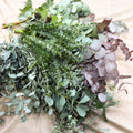 Eucalyptus Bunch – Mixed Varieties – Fresh Foliage for Christmas Wreaths, Floristry & Festive Crafting - Sprouts of Bristol