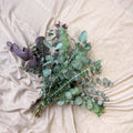 Eucalyptus Bunch – Mixed Varieties – Fresh Foliage for Christmas Wreaths, Floristry & Festive Crafting - Sprouts of Bristol