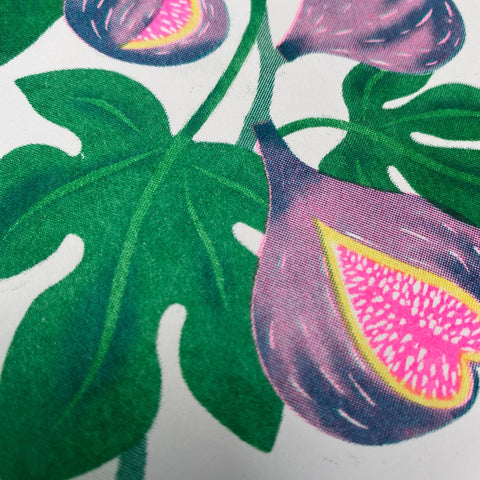 Fig Grow Greetings Card - Sprouts of Bristol