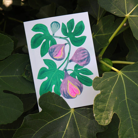 Fig Grow Greetings Card - Sprouts of Bristol