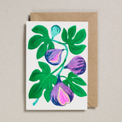 Fig Grow Greetings Card - Sprouts of Bristol