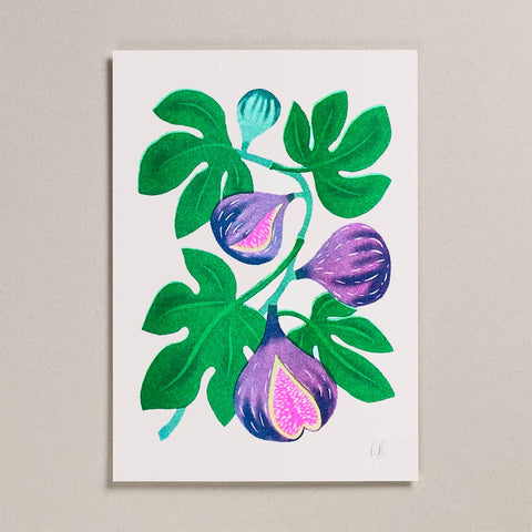 Fig Risograph A4 Print - Sprouts of Bristol