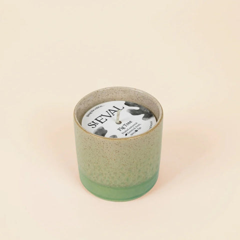 Fig Tree Candle in Sea & Shore Ceramic Pot - Sprouts of Bristol