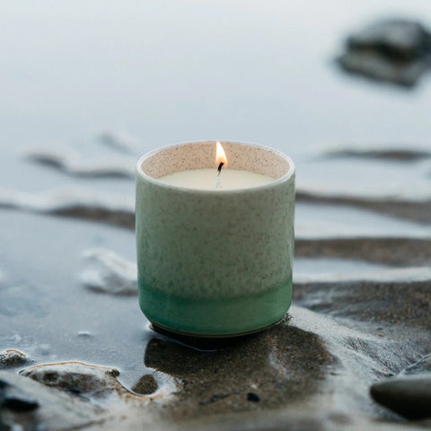 Fig Tree Candle in Sea & Shore Ceramic Pot - Sprouts of Bristol