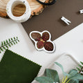 Fittonia Tropical Houseplant Vinyl Sticker [Beneath the Canopy RHS Collab] - Sprouts of Bristol