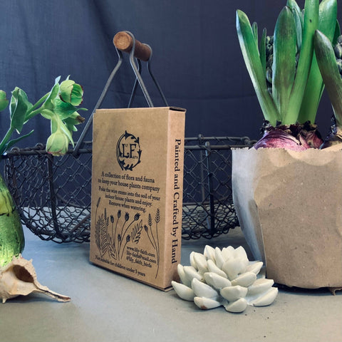 Fox Plant Pot Companions - Sprouts of Bristol