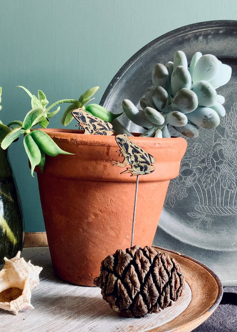 Frog Plant Pot Companions - Sprouts of Bristol