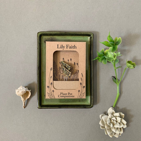 Frog Plant Pot Companions - Sprouts of Bristol