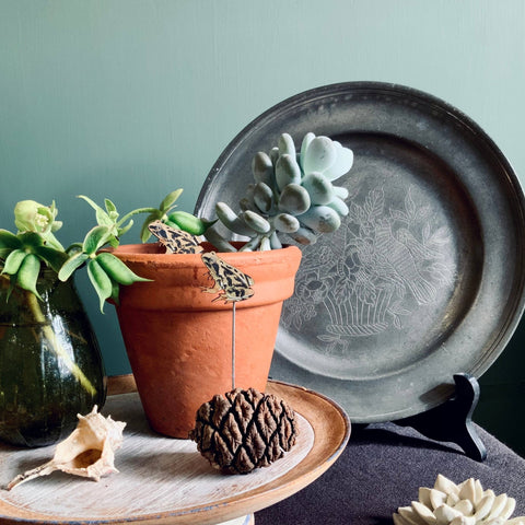 Frog Plant Pot Companions - Sprouts of Bristol