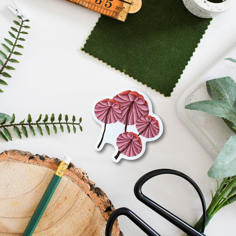 Fungi Mushroom Amazon Wildlife Vinyl Sticker [Beneath the Canopy RHS Collab] - Sprouts of Bristol