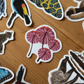 Fungi Mushroom Amazon Wildlife Vinyl Sticker [Beneath the Canopy RHS Collab] - Sprouts of Bristol