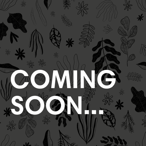 Gaillardia aristata 'Indy Yellow Red Ring' - Blanket Flower - British Grown - Sprouts of Bristol